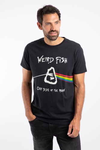 Weird fish carp side - fish, front