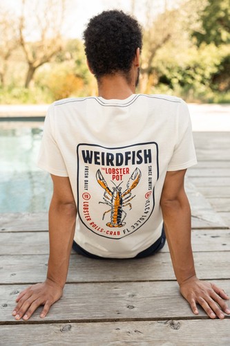 Weird fish lobster pot - lobster,
